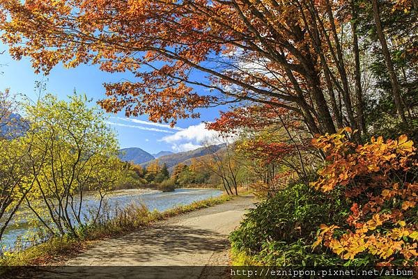 上高地 紅葉.jpg