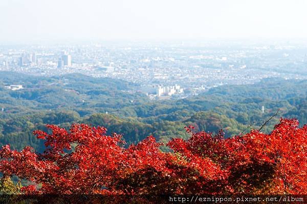高尾山頂-03.jpg