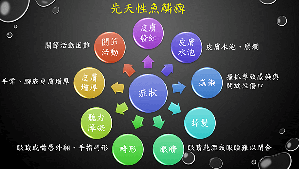 圖1.PNG