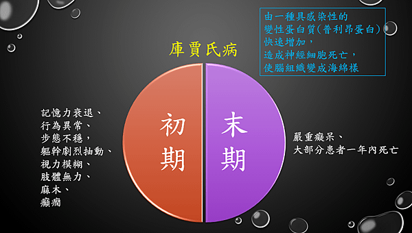 圖1.PNG
