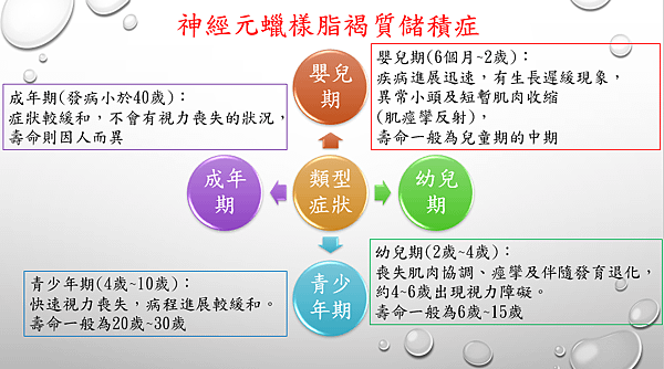 圖1.PNG