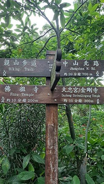 #478.劍潭山
