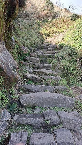 #508.七星山