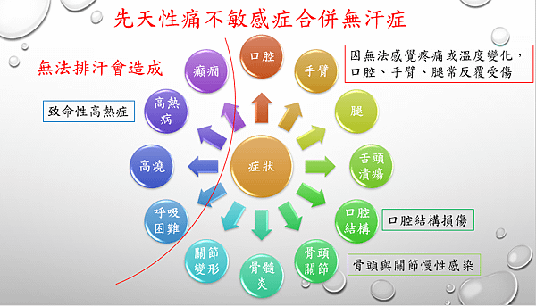 圖1.PNG