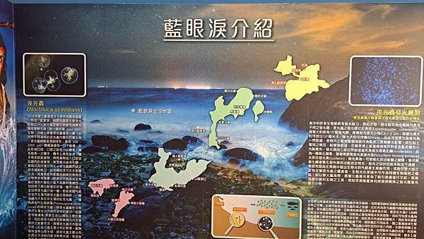#598.藍眼淚