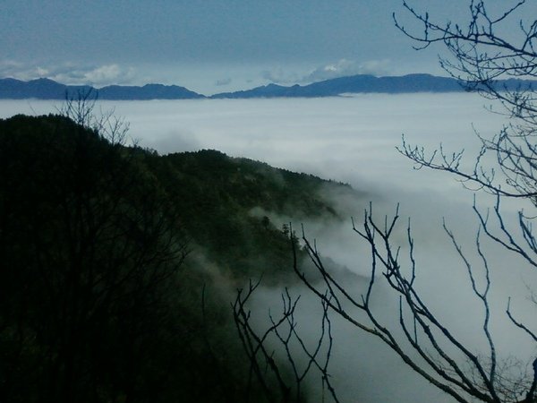 雲海