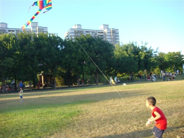 新莊運動公園放風箏 004.jpg