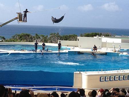 102.09OKA海洋博水族館