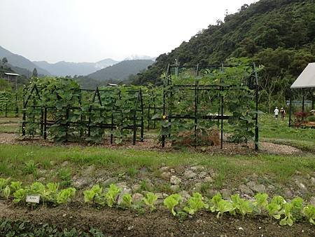 102.05宜蘭綠博憶起森呼吸
