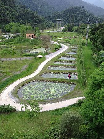 102.05宜蘭綠博憶起森呼吸