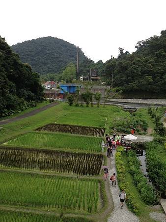 102.05宜蘭憶起森呼吸