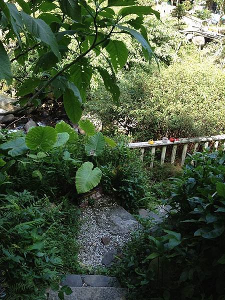 103.07陽明山19號咖啡館
