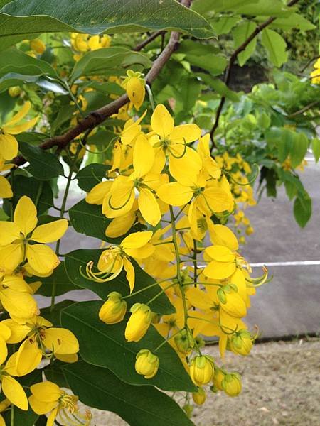 露營活動