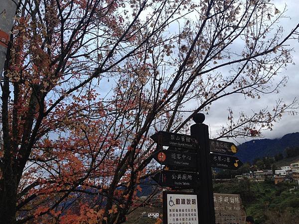 10412梨山