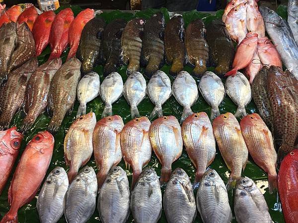 新竹南寮魚港