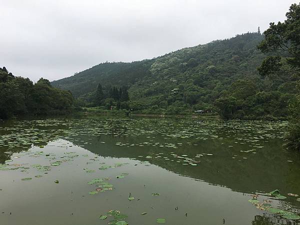 神秘向天湖