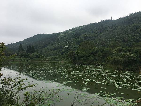 神秘向天湖