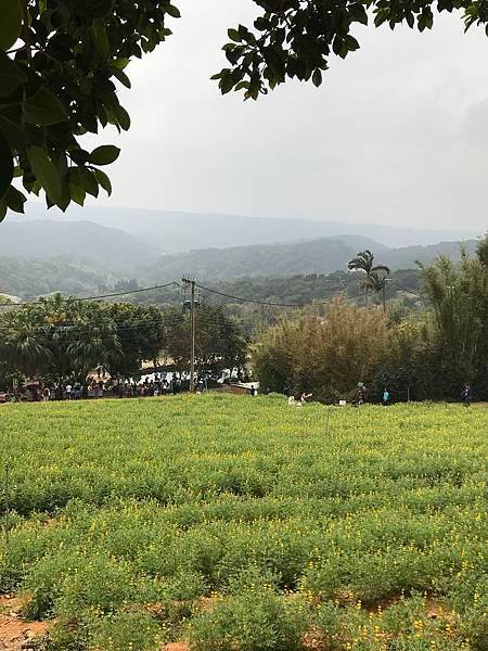 龍潭龍泉步道