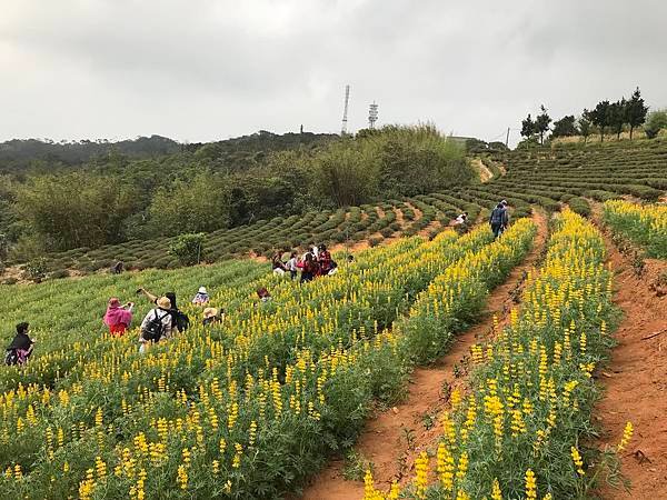 龍潭龍泉步道