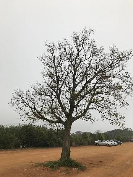 龍潭龍泉步道