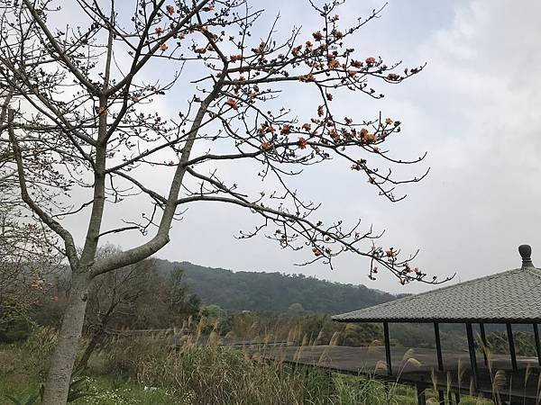 龍潭龍泉步道