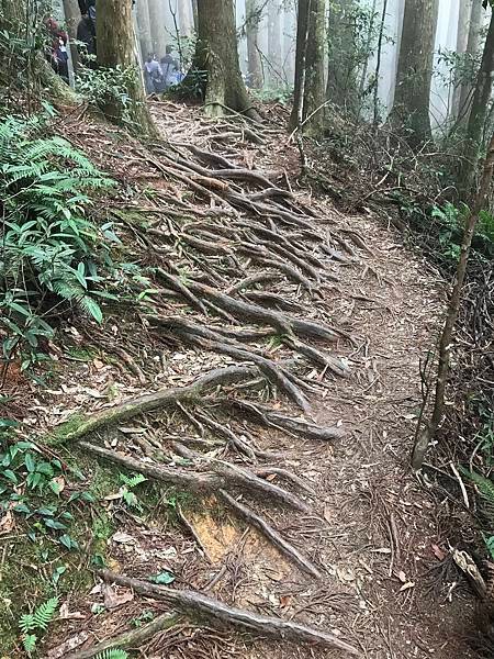 野馬瞰山步道