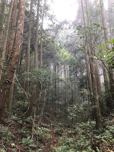 野馬瞰山步道
