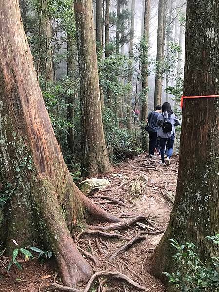 野馬瞰山步道
