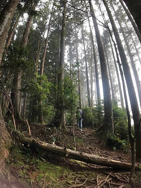 野馬瞰山步道