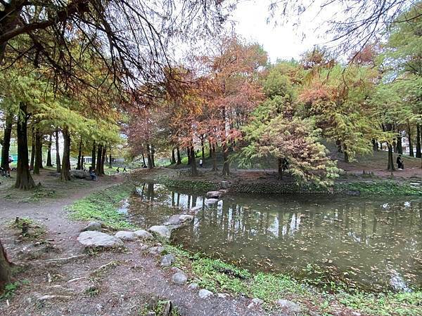 運動公園