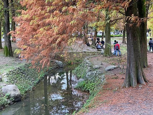 運動公園