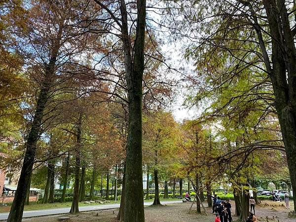 運動公園