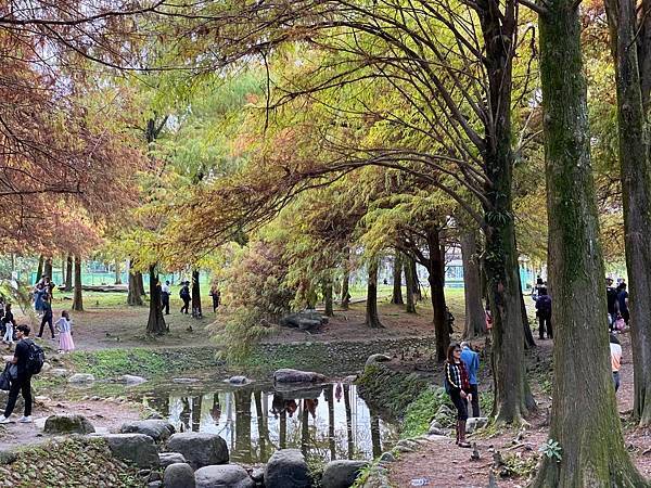運動公園