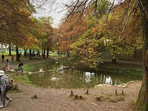 運動公園