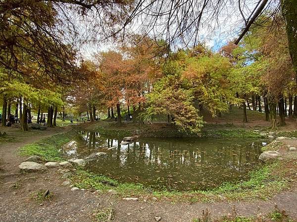運動公園