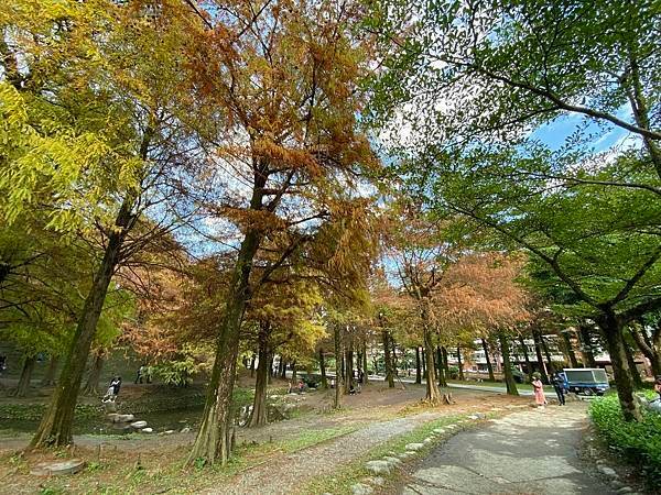 運動公園