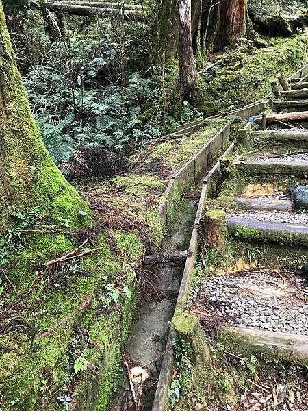 翠峰湖-環山步道