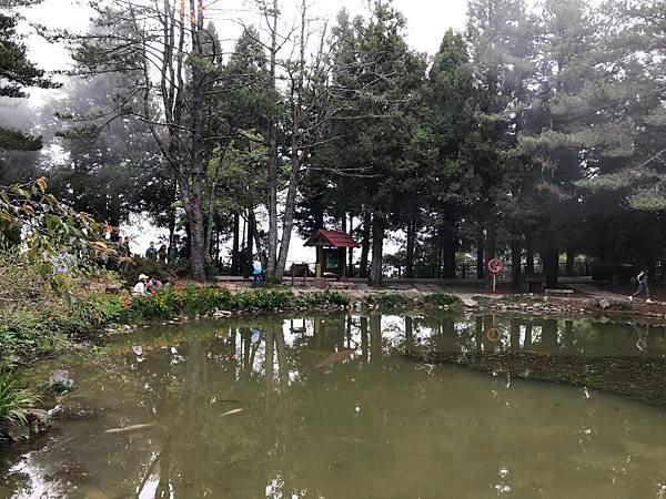 天池