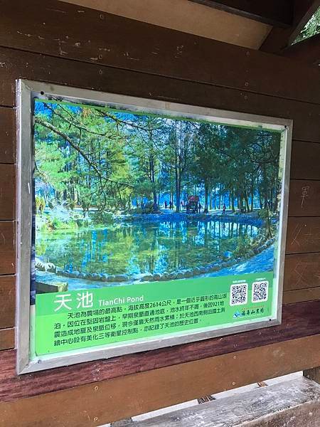 天池
