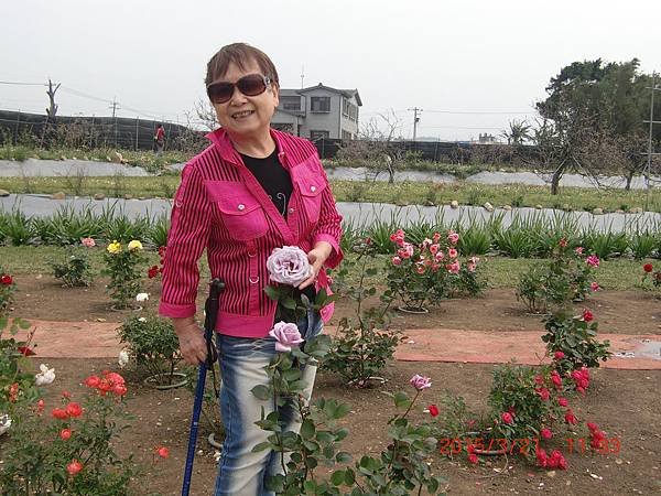 紫藤花咖啡園 107