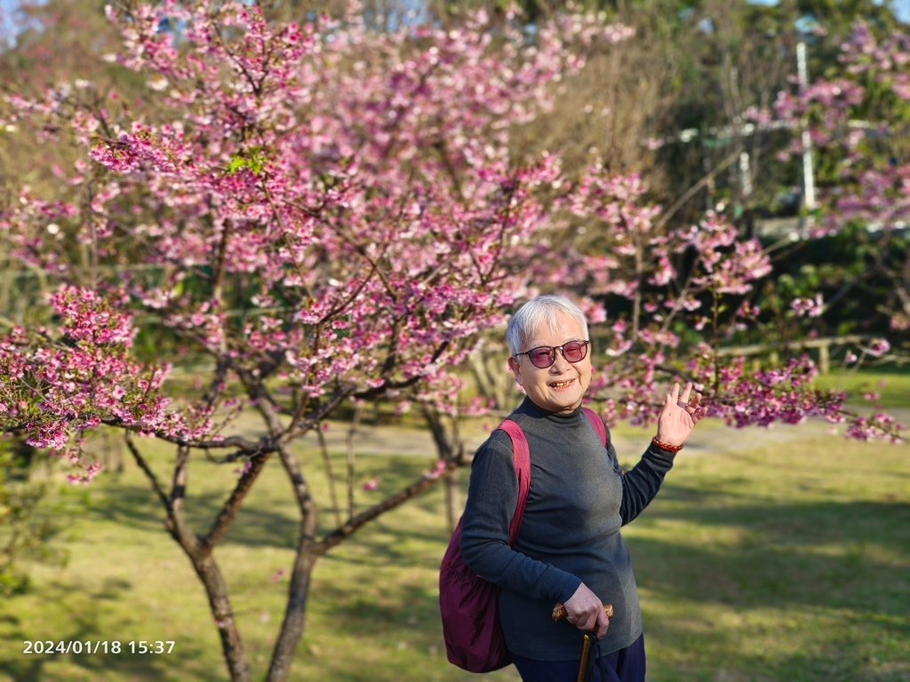 環保阿嬤孝順的長子媳邀我到***陽明山花卉試驗中心/2024