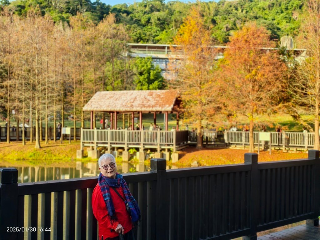 環保阿嬤 大年初二闔家走春***原住民文化村落羽松(五)20