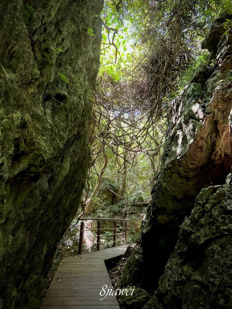 【機車環島+南橫初體驗】第六度一個人環島，臺灣真的好美啊！｜