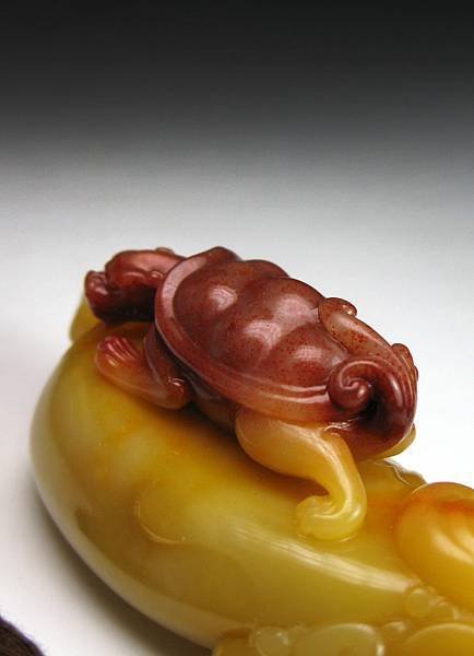 三色芙蓉巧雕龍龜把件-6