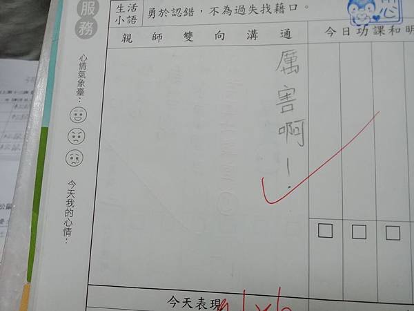 IMG20181212094954.jpg