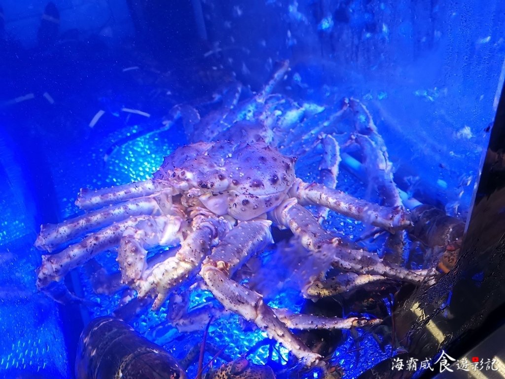 IMG_20181220_012150.jpg