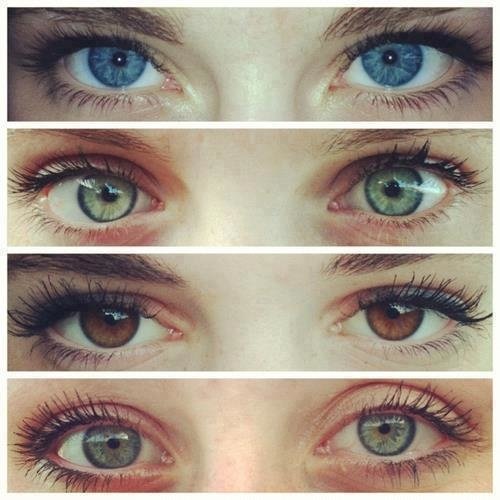 https%3A%2F%2F40.media.tumblr.com%2F6a41ef53c8e30693c4d8e492a6741a80%2Ftumblr_mg0tc9tk0D1rm4yzjo1_500