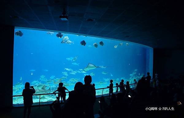 夜宿海生館109.jpg