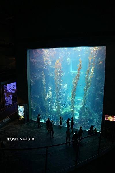 夜宿海生館129.jpg