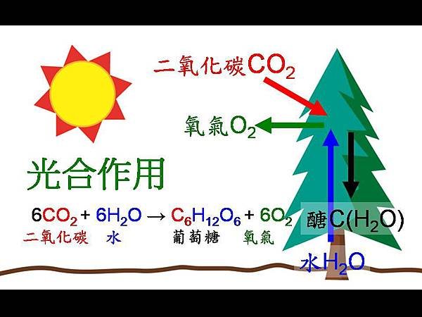 投影片16